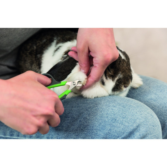 Кігтеріз-ножиці Trixie для дрібних тварин і птахів нержавіюча сталь 8 см