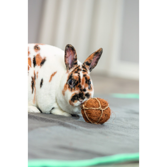 Іграшка Trixie для гризунів Кокосовий м яч діаметр 6 см