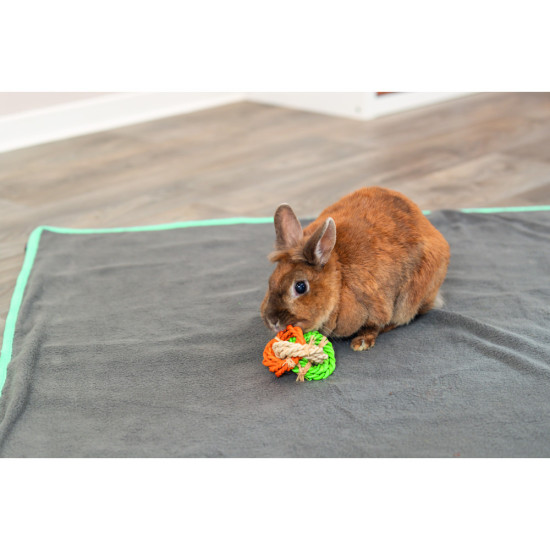 Іграшка Trixie для гризунів Кільця з кукурудзяного листя діаметр 6х15 см