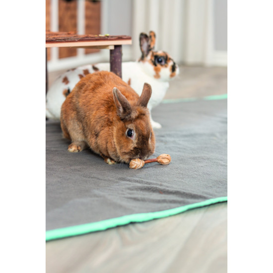 Іграшка Trixie для гризунів Набір гантелей з кори деревинної 2 шт 9х2 см