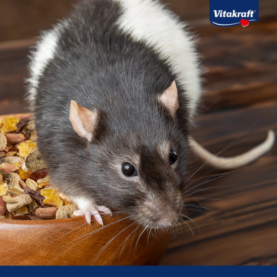 Корм Vitakraft Premium Menu Vital для декоративних гризунів та щурів 1000 г