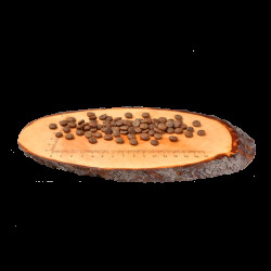 Корм сухий Carnilove Fresh Carp and Trout Sterilised for Adult cats для дорослих стерилізованих та кастрованих котів з короп