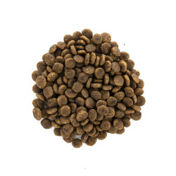 Корм сухий Brit Care Cat Grain Free Sensitive HDigestion Delicate Taste для котів з чутливим травленням індичка та лосось 2