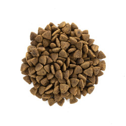 Корм сухий Brit Care Cat Grain Free Adult Activity Support для вуличних та дорослих котів філе індички та курки 7 кг