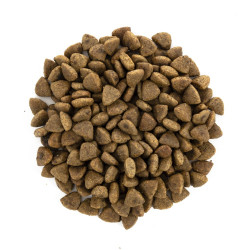 Корм сухий Brit Care Cat Grain Free Haircare Healthy and Shiny Coat для котів догляд за шкірою і шерстю лосось та курка 7 кг