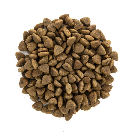 Корм сухий Brit Care Cat Grain Free Haircare Healthy and Shiny Coat для котів догляд за шкірою і шерстю лосось та курка 7 кг