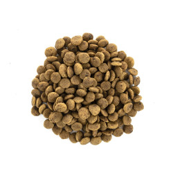 Корм сухий Brit Care Cat Grain Free Large Power Vitality для дорослих котів великих порід з качкою та куркою 7 кг