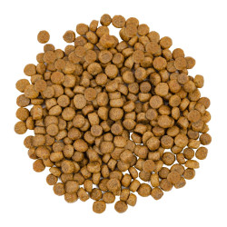 Корм сухий Savory Adult Cat Gourmand Fresh Salmon and White Fish для довгошерстих котів зі свіжим лососем і білою рибою 2 кг