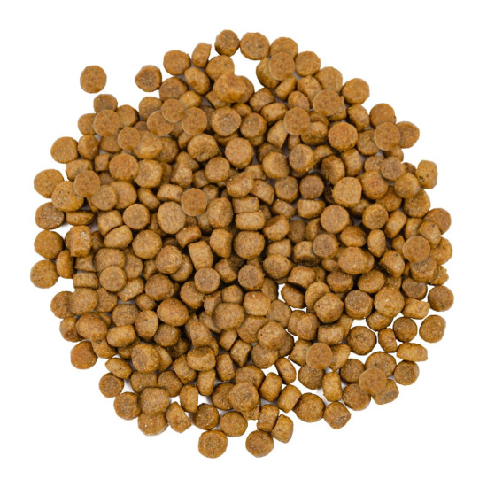 Корм сухий Savory Adult Cat Gourmand Fresh Salmon and White Fish для довгошерстих котів зі свіжим лососем і білою рибою 2 кг