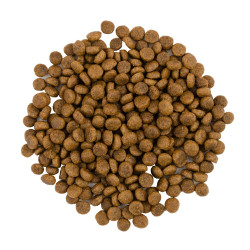 Корм сухий Savory Adult Cat Gourmand Fresh Turkey and Duck для котів-гурманів зі свіжою індичкою та качкою 2 кг