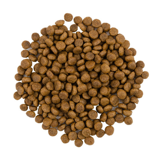 Корм сухий Savory Adult Cat Gourmand Fresh Turkey and Duck для котів-гурманів зі свіжою індичкою та качкою 8 кг