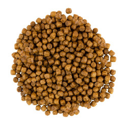 Корм сухий Savory Kitten rich in Fresh Turkey and Chicken для кошенят всіх порід зі свіжою індичкою та куркою 2 кг