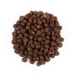 Корм сухий Brit Premium by Nature Cat Kitten для кошенят від 1 до 12 місяців з куркою 800 г