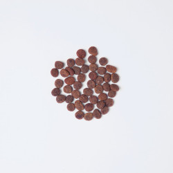 Корм сухий Carnilove True Fresh Cat Fresh Turkey для дорослих котів з індичкою 340 г