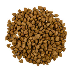 Корм сухий Savory Adult Cat Steril Fresh Lamb and Chicken для стерилізованих котів з ягнятиною та куркою 400 г