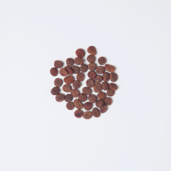 Корм сухий Carnilove True Fresh Cat Fresh Turkey д/дорослих котів індичка 4,8 кг