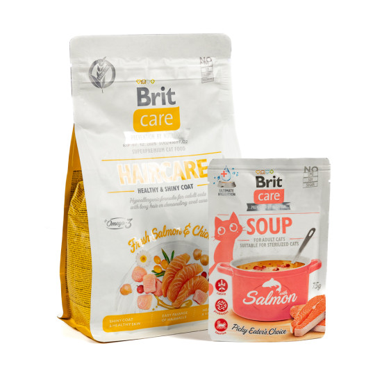 НАБІР Корм сухий Brit Care GF Haircare Healthy and Shiny Coat д/котів д/догляду за шерстю лосось і курка 400 г + суп 75 г