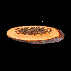 Корм сухий Carnilove Cat Sensitive and Long Hair для котів з чутливим травленням з лососем 400 г