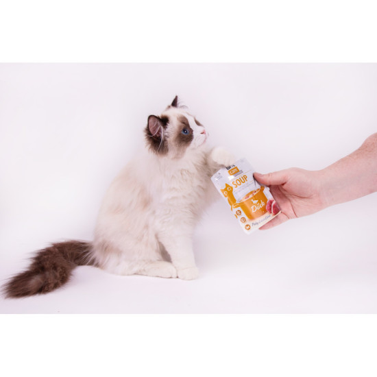 Корм вологий Brit Care Soup Duck д/котів суп з качкою 75 г