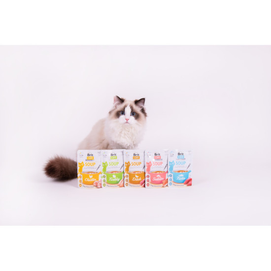 Корм вологий Brit Care Soup Chicken д/котів суп з куркою 75 г