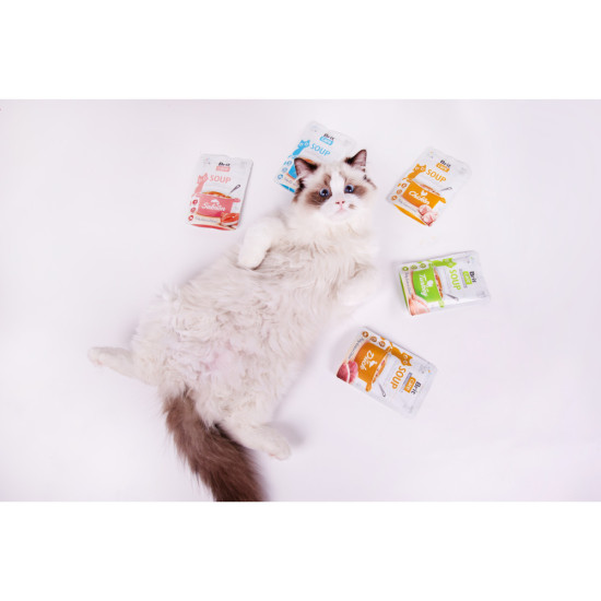 Корм вологий Brit Care Soup Chicken д/котів суп з куркою 75 г