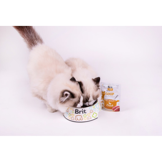 НАБІР Корм вологий Brit Care Soup Duck д/котів суп качка 75 г 15 шт