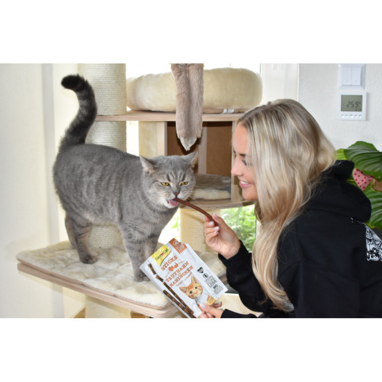 Ласощі GimCat м’ясні палички для котів з індичкою та кроликом 4 шт