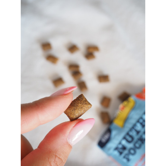 Ласощі Nutri Pockets для котів Рибні Лосось 60г