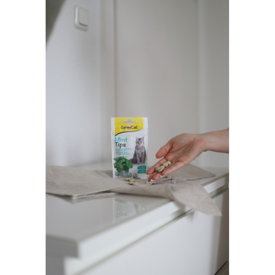 Вітаміни GimCat таблетки Every Day для котів усіх порід з кошачою м ятою 40г