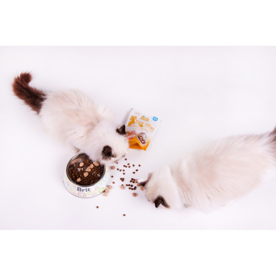 Ласощі Brit Raw Treat Freeze-dried Hair and Skin д/котів д/шерсті риба та індичка 40 г