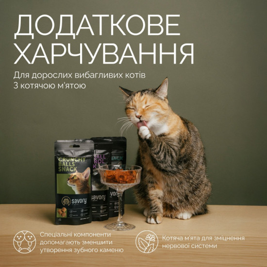 Хрумкі ласощі Savory Cats Snacks Crunchy Balls для дорослих вибагливих котів, кульки з котячою м’ятою, 60 г