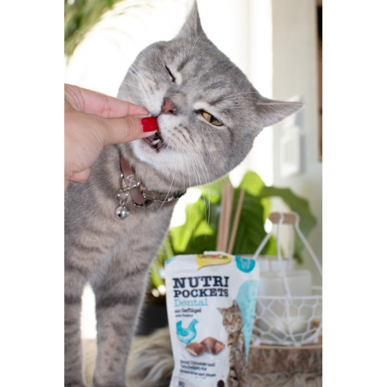 Вітамінні ласощі GimCat Nutri Pockets Dental для котів для зубів 60 г