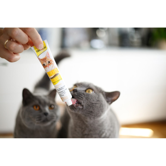 Паста GimCat DUO PASTE Multi-vitamin 12 vitamins with cheese для котів усіх порід 12 вітамінів та сир 50г