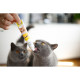 Паста GimCat DUO PASTE Multi-vitamin 12 vitamins with cheese для котів усіх порід 12 вітамінів та сир 50г