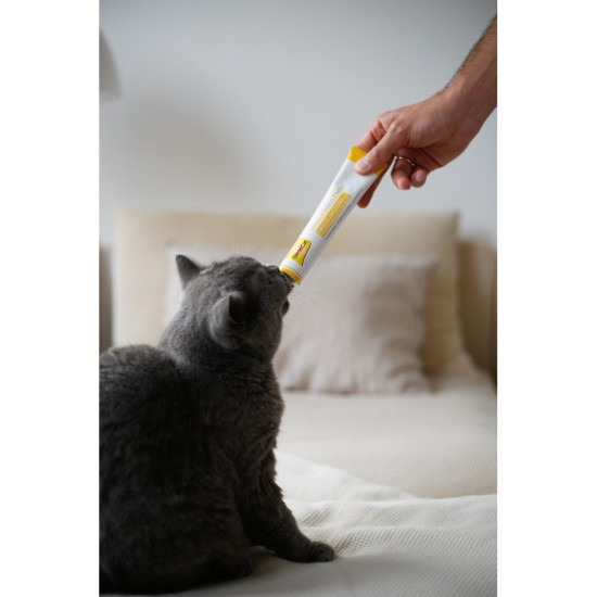 Паста GimCat Cheese Biotin Paste для котів усіх порід cирна з біотином 100г