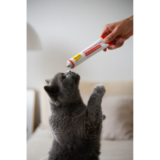 Вітаміни GimCat Every Day Extra мультивітамінна паста для котів для покращення імунітета 200 г
