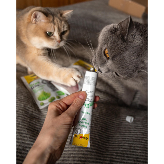 Вітаміни GimCat Expert Line Gastro Intestinal для котів паста для покращення травлення 50 г