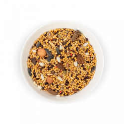 Корм Природа Коктейль для хвилястих папуг фруктовий 500 г