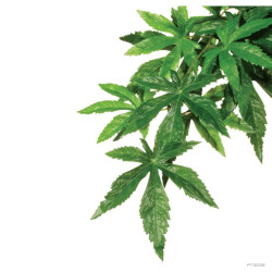 Рослина ExoTerra Abutilon Silk для тераріума пластик текстиль 15x32x4 см