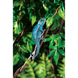 Рослина ExoTerra для тераріуму Jungle Vine Лоза S