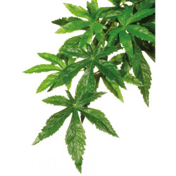 Рослина ExoTerra для тераріуму Abuliton Silk пластик текстиль 40 см