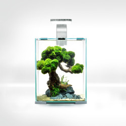 Акваріум Aquael Shrimp Set Smart для креветок прямий білий 19 л