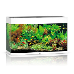 Акваріум Juwel прямий Rio 125 LED білий 81х50х36 см 125 л