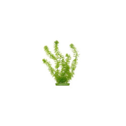 Акваріумна декорація Marina штучна рослина Hornwort пластик 20 см