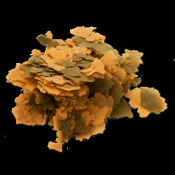 Корм Tetra Cichlid XL Flakes для рибок великих цихлід пластівці 10 л/ 1,9 кг