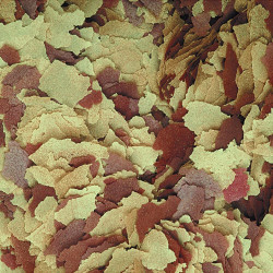 Корм Tropical Tropical для всіх акваріумних риб пластівці 21 л / 4 кг