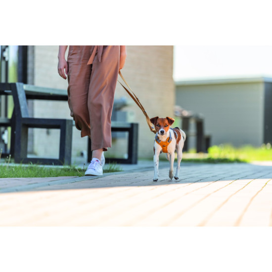 Повідок Trixie Premium для собак регульований XS–S 2 м 15 мм оранжевий