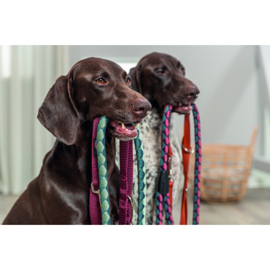 Повідок Trixie Premium для собак регульований двошаровий XS 2 м 10 мм бордовий