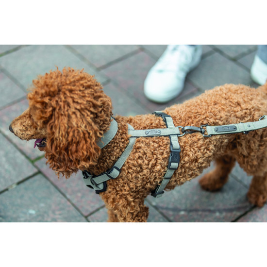 Шлея Trixie CityStyle H-harness для собак бавовна L–XL 75–120 см 25 мм світло-сіра