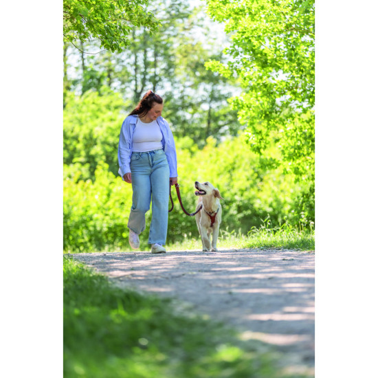 Повідок Trixie Cavo для собак регульований S–M 2 м діаметр 12 мм рижий-графіт